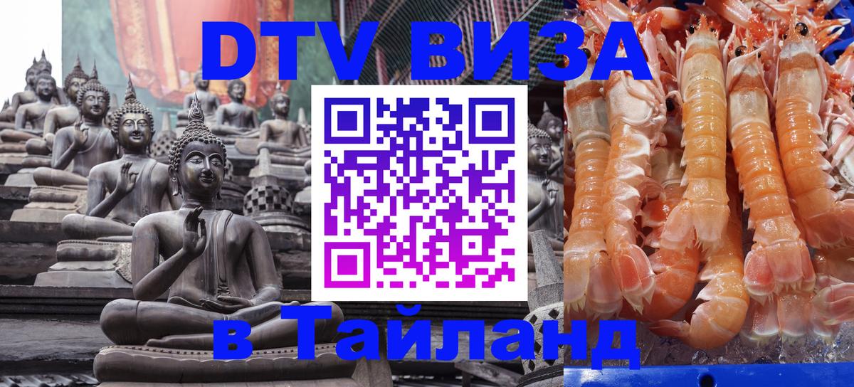 Сколько стоит DTV виза — актуальные цены, оформление даже без документов - 09.01.2026 